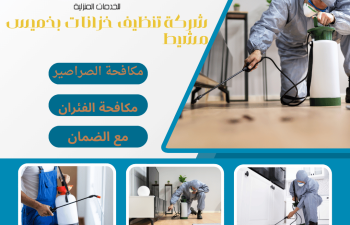 شركة مكافحة حشرات بابها