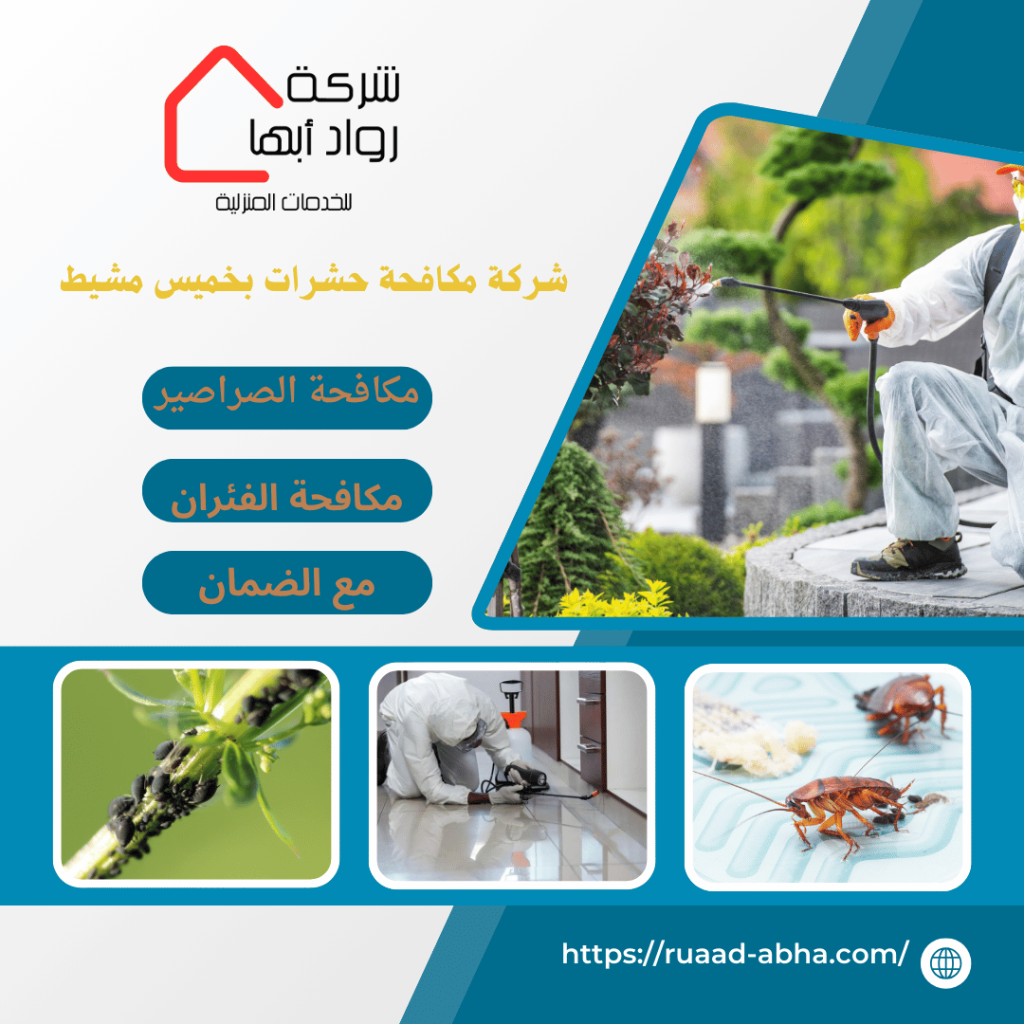 شركة مكافحة حشرات بخميس مشيط 