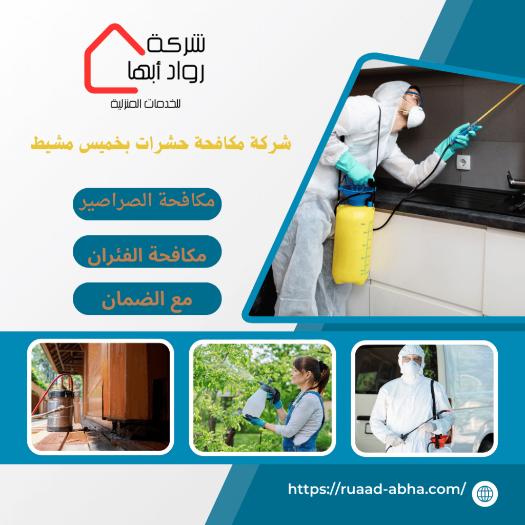 شركة مكافحة حشرات بخميس مشيط 